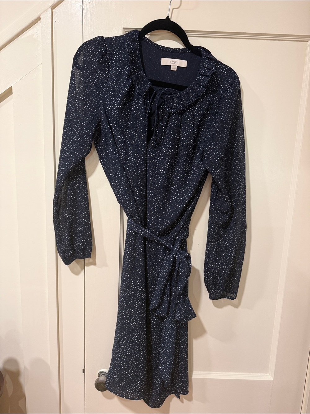 LOFT  navy/white dot chiffon dress, long sleeve size 10